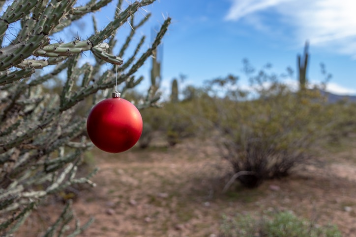 Holiday Decorations Scottsdale Arizona